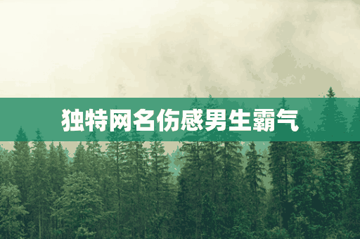 独特网名伤感男生霸气(独特网名伤感男生霸气两个字)